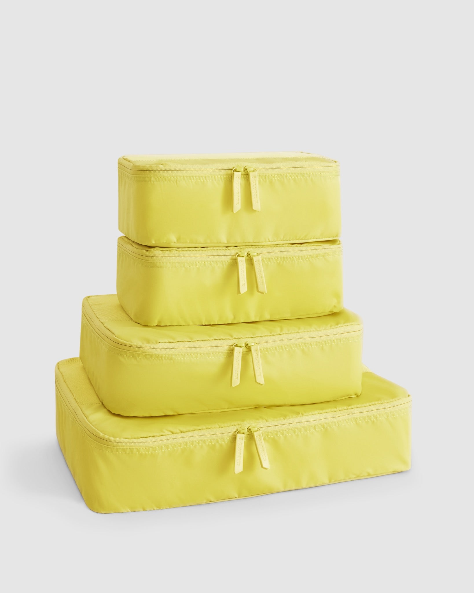Endive 4 Piece Packing Cube