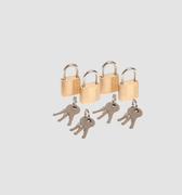 Brass Lock 4pk - Globite